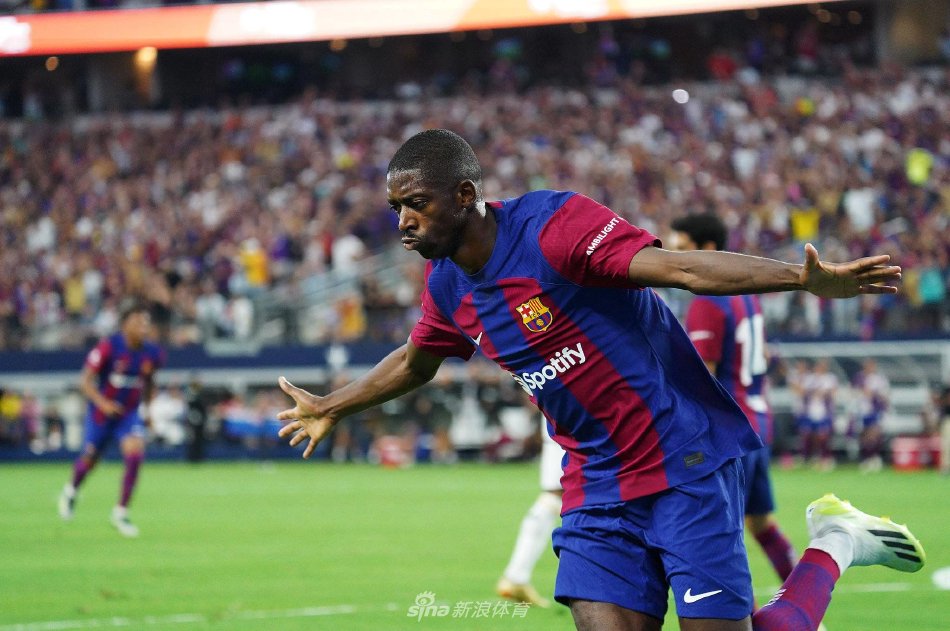 他们已经做 他们已经做